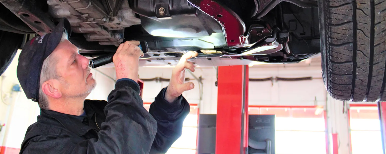 Nielsen Auto Care | Careers